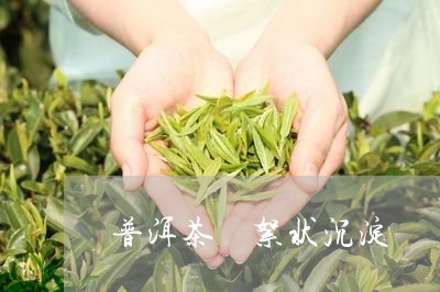 普洱茶 絮状沉淀/2023041002746